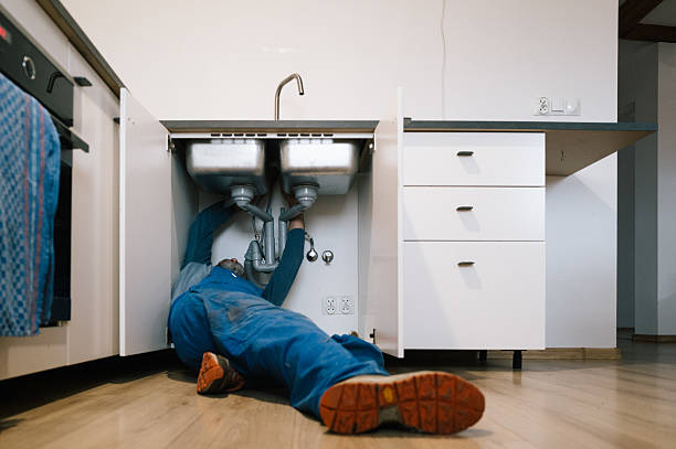 Professional Plumbing technician working in Hugo, MN